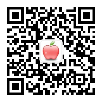 bob品牌授权